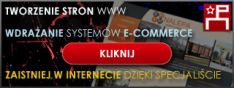 Piotr Nalepa - projektant/webdeveloper freelancer Profesjonalne tworzenie stron WWW