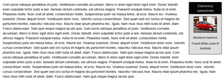 Lista definicji jako obrazek z prawej strony treści